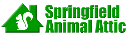 Springfield Animal Attic